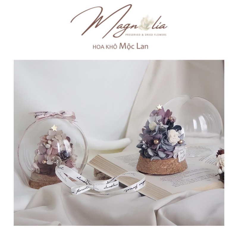 Quả cầu thuỷ tinh cây thông Noel mini, quà tặng giáng sinh merry christmas