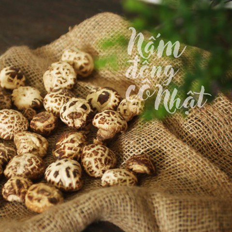 100g Nấm Đông Cô Nhật Bản (Nấm Đông Cô Khô Loại 1, to bằng nắm tay)