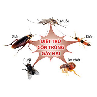 Chế phẩm diệt kiến gián Ankill (20gr)