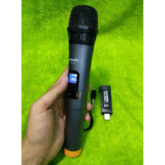 Micro Karaoke không dây cho loa kéo Daile / Aige / Zansong V12 màn hình LCD (đen) - Hỗ trợ jack cắm 3.5mm và 6.5mm