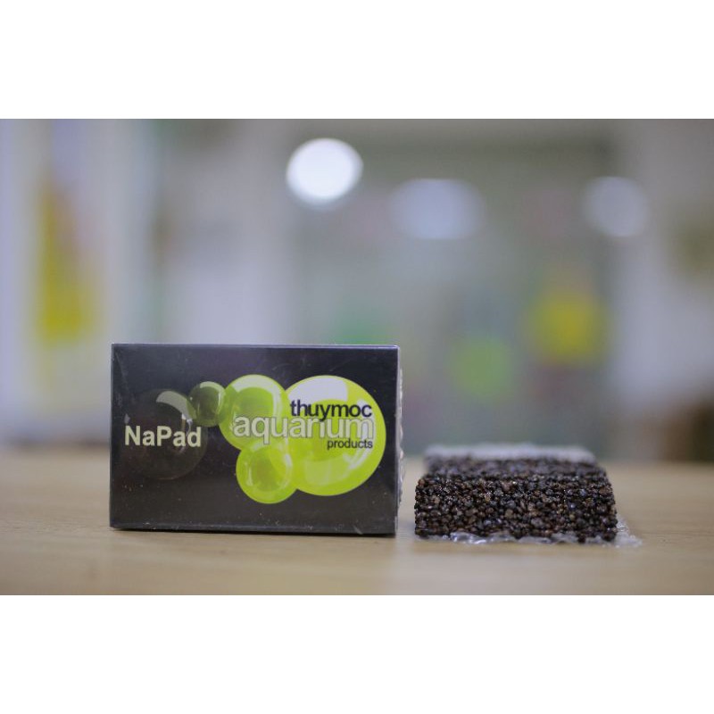 Napad Thủy Mộc  - giá thể bucep, ráy, trầu bà, dương sỉ
