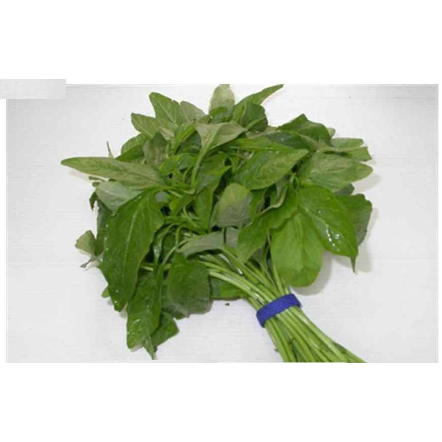 Hạt giống rau Dền Xanh Lá tròn cao sản