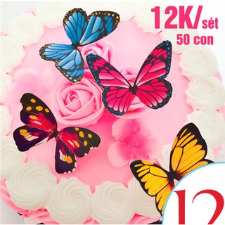 Set 50 bướm giấy trang trí bánh kem