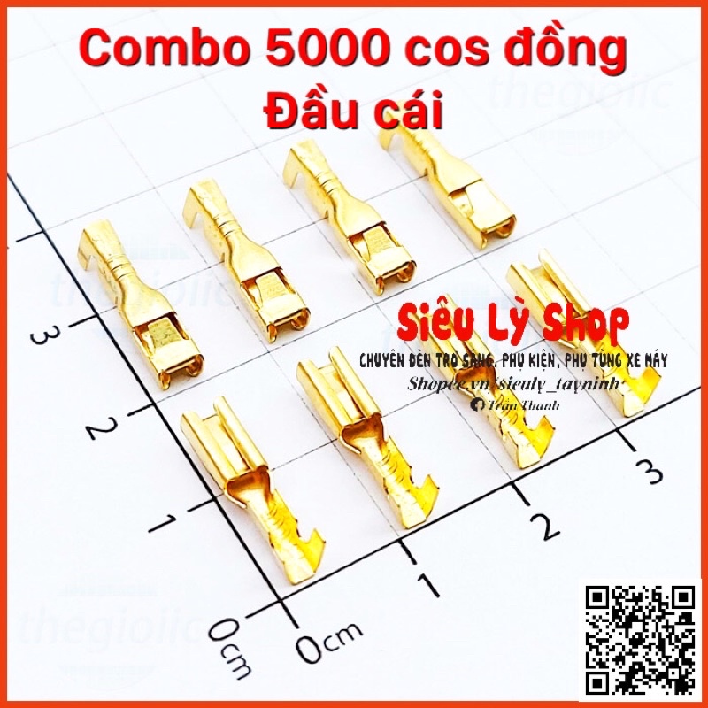 Combo 5000 Cos đồng 2.8 cho xe máy - Đầu cái