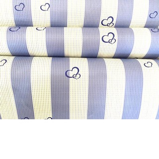 5m giấy decal cuộn dán tường sọc xanh 1 binbin dtl55