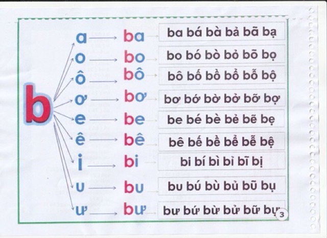 Bộ đọc đánh vần
