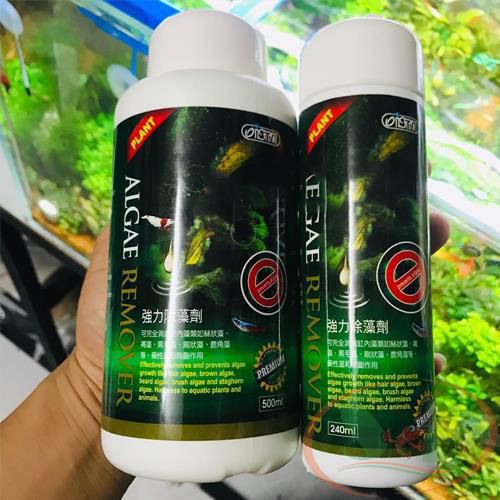 Dung Dịch Diệt Rêu Hại Ista Premium Algae Remover