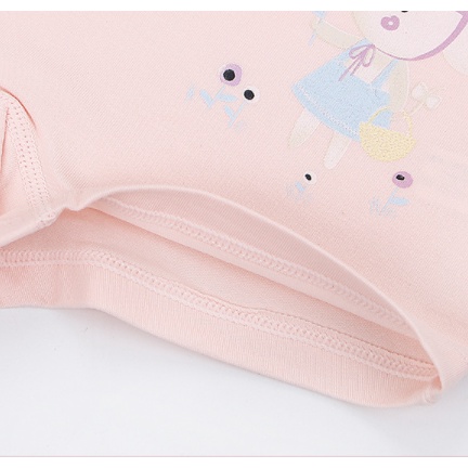 Quần Lót Cotton Dễ Thương Cho Bé Gái 3-14 Tuổi