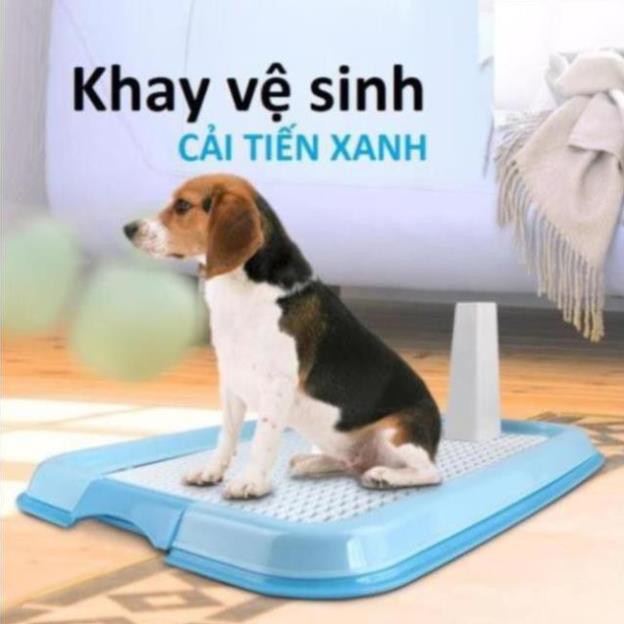 (Loaij Có trụ) Khay vệ sinh cho chó kiểu cải tiến cho chó dưới 8kg (có trụ)