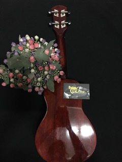 Đàn Ukulele DC800