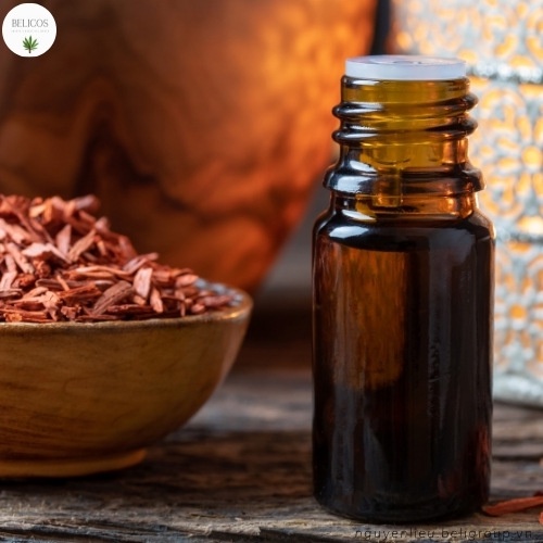 Tinh dầu Đàn Hương - Tinh dầu gỗ Sandalwool - Tinh dầu làm nến thơm, tinh dầu thơm phòng