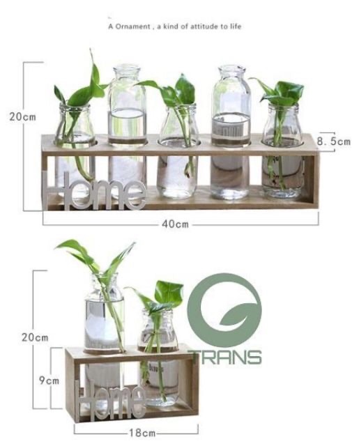 Sét 5 lọ hồ thủy tinh kèm kệ gỗ- màu xanh