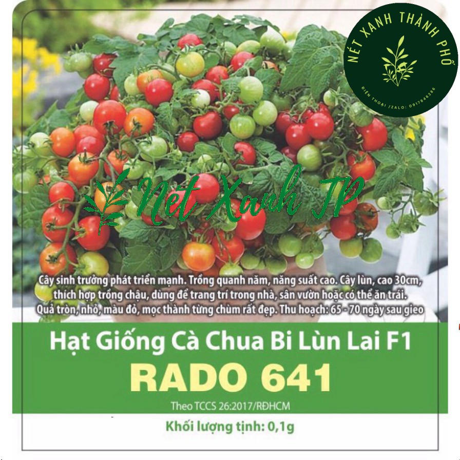 Hạt giống Cà Chua Bi Lùn Đỏ 0,1g, dễ trồng, siêu trái