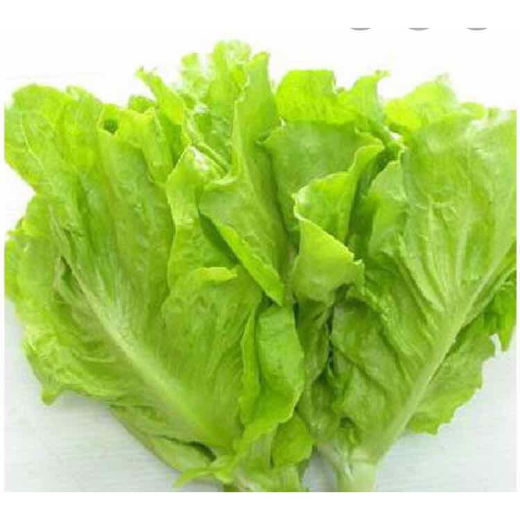 HẠT GIỐNG XÀ LÁCH VÀNG - GÓI 10 GRAM