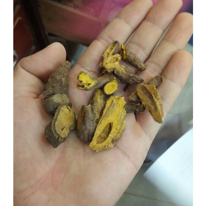 CỦ CỐT KHÍ loại 1 - Giảm đau nhức xương khớp