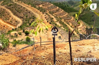 Béc bù áp chống mòn BS Super