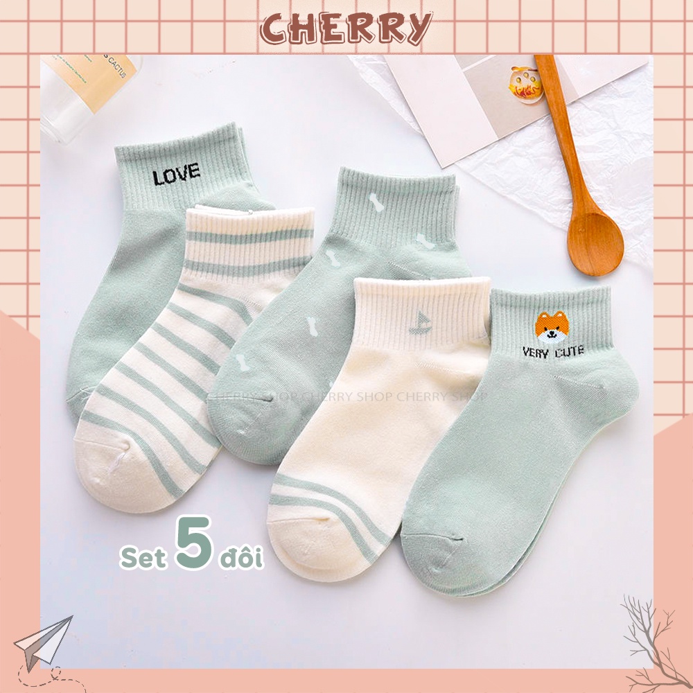 Tất nữ vớ nữ cổ ngắn set 5 đôi họa tiết dễ thương cute Hàn Quốc - Cherry Shop