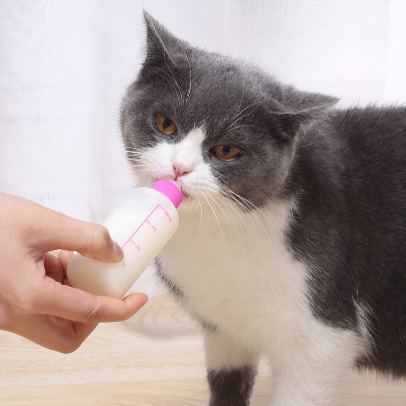 Bình ti sữa dành cho Chó Mèo con - Dung tích 60ml ChunChut PetShop