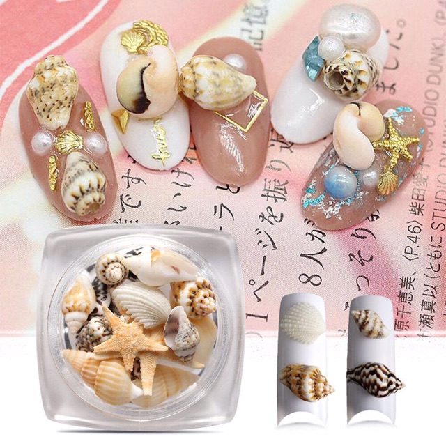 Ốc trang trí các loại đủ màu nhỏ xinh