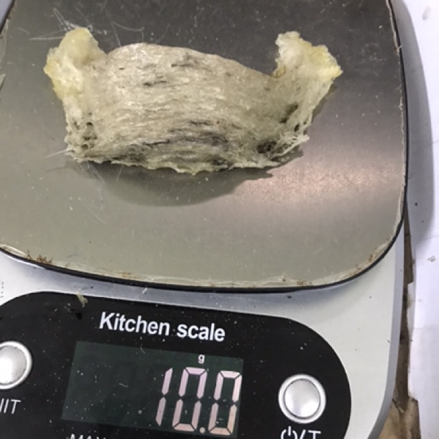 Yến sào thô nguyên tổ 10g +🎁🎁🎁