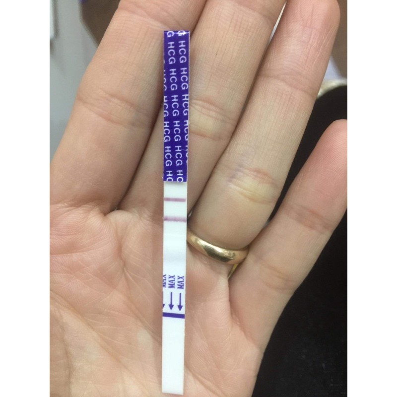 trà táo đỏ, kì tử, ngải cứu...