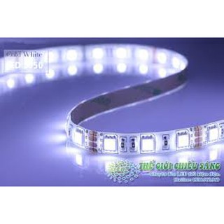 Bộ 10 mét đèn Led dây 5050/220V 1 màu ánh sáng( vàng, xanh, trắng, tím,lam) và 1 đầu nối dây nguồn.(mắt led to)