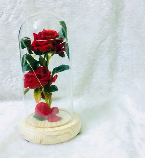 Lồng hoa hồng nhung đỏ (Có sẵn)