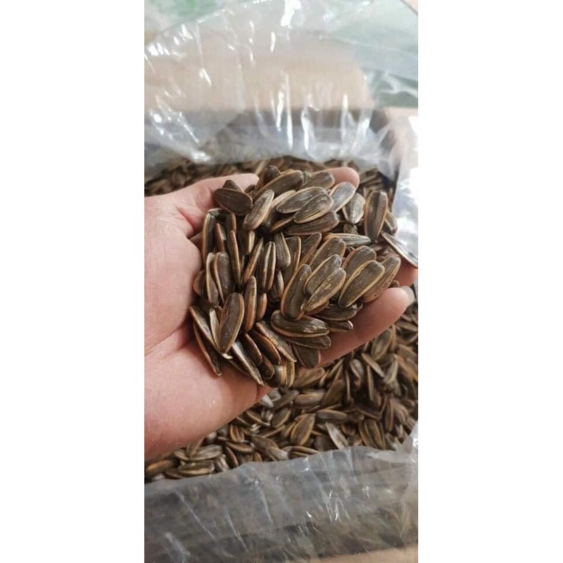 1KG HƯỚNG DƯƠNG TẨM VỊ CARAMEN SIÊU NGON GIÒN TAN
