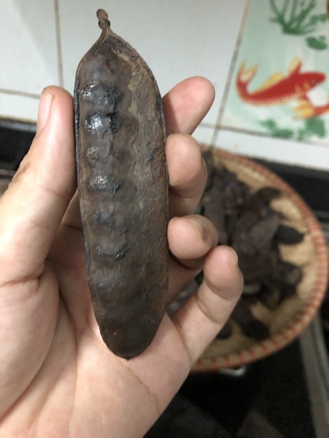 Bồ kết rụng nướng nguyên quả 500g