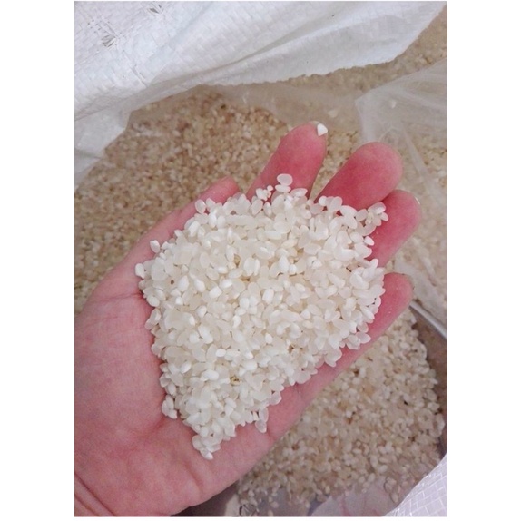Nếp Tú lệ Bảo Minh 1kg