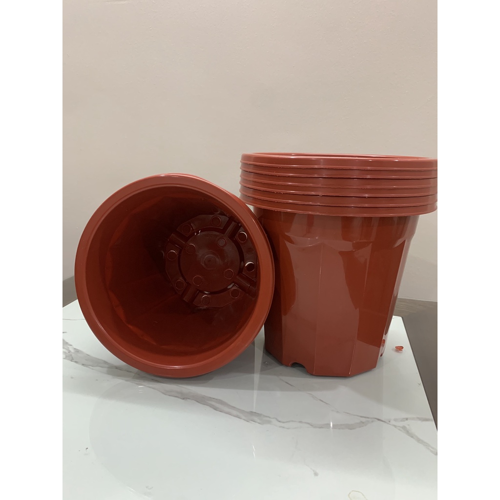 Chậu nhựa trồng ươm cây hoa E300 - 5 chậu màu nâu, hàng loại 1 nhựa dày dẻo KT 26x24cm
