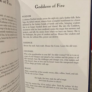 Bài Witches Wisdom Tarot