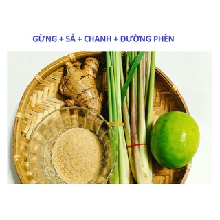 Combo Gừng + Sả + Chanh + Đường phèn - Nước uống tăng sức đề kháng cơ thể