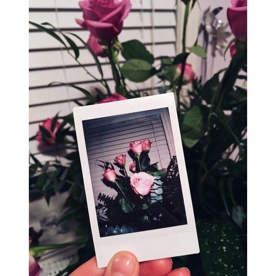 FUJIFILM INSTAX Mini Instant Film 10 tấm - Viền màu tổng hợp - date 2024 -2025