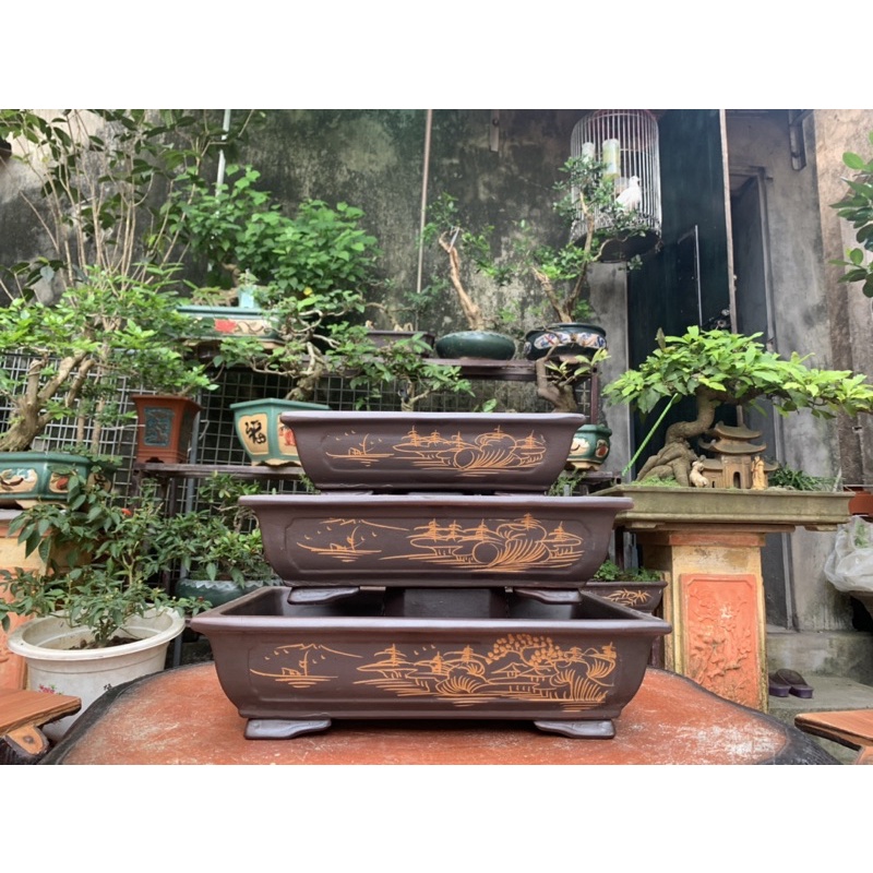 Chậu chữ nhật trồng cây bonsai ( có hỗ trợ vc cho khách => nhắn tin cho shop )