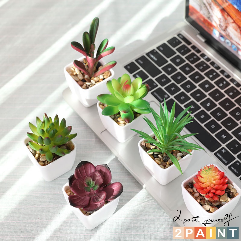 Sen đá mini kèm chậu trắng, cây giả decor phong cách Hàn Quốc