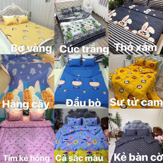 Set ga chun chăn hè bán chạy