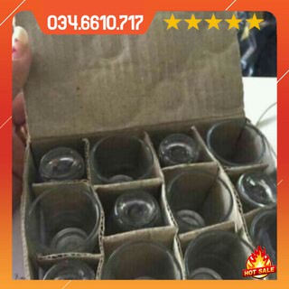 Bộ 12 ly mắt trâu tiện dung - Ly uống rượu mắt trâu