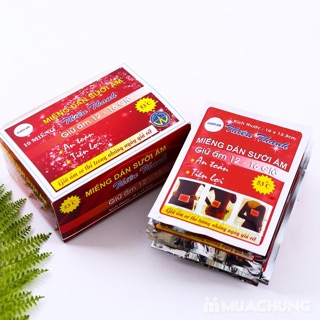 Combo 10 miếng dán sưởi ấm Thiên Thanh