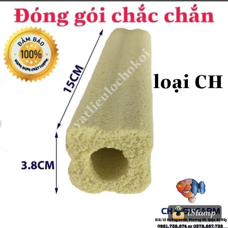 Sứ thanh vàng sứ hoa mai 15cm x 3.8cm loại lớn
