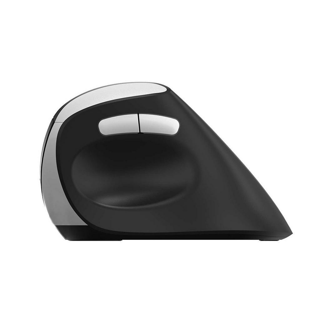 Chuột Công Thái Học Không Dây Rapoo EV250 Ergonomic Mouse - Hàng Chính Hãng