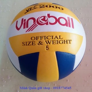 Bóng chuyền Vinaball VFC2000 số 5