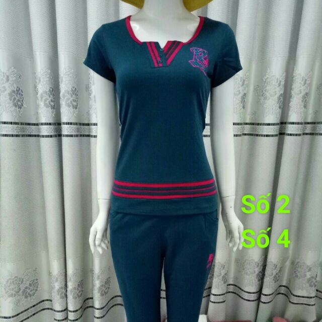 Combo5 bộ sỉ