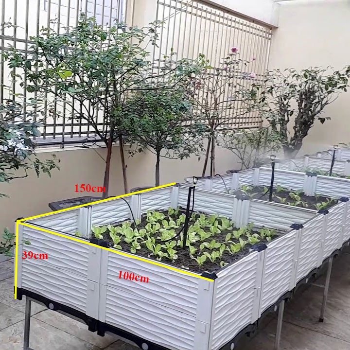 Chậu Khay Ghép Trồng rau sạch trồng Cây Thông Minh Dài 250*100*39cm thêm 4 Vách phụ và 2 Trụ Cứng Cáp Hơn
