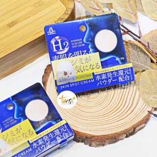 KEM TRỊ NÁM H2 SKIN SPOT CREAM
