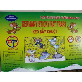 Keo dính chuột cao cấp, siêu dính