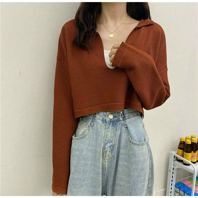 Áo thun phôm rộng Croptop Cổ V tay dài (A15)