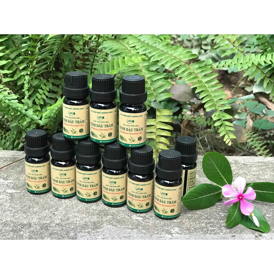 Tinh dầu tràm nguyên chất Mộc Hương 20ml