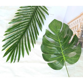 Combo 3 chiếc lá cọ làm phụ kiện chụp ảnh