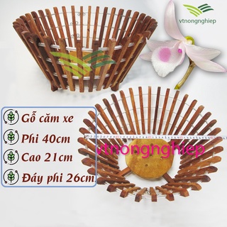 Chậu trồng lan bằng gỗ căm xe phi 40cm, mẫu vát nghiêng, chậu trồng hoa lan size lớn, gỗ cứng, lâu mục, chịu lực tốt.